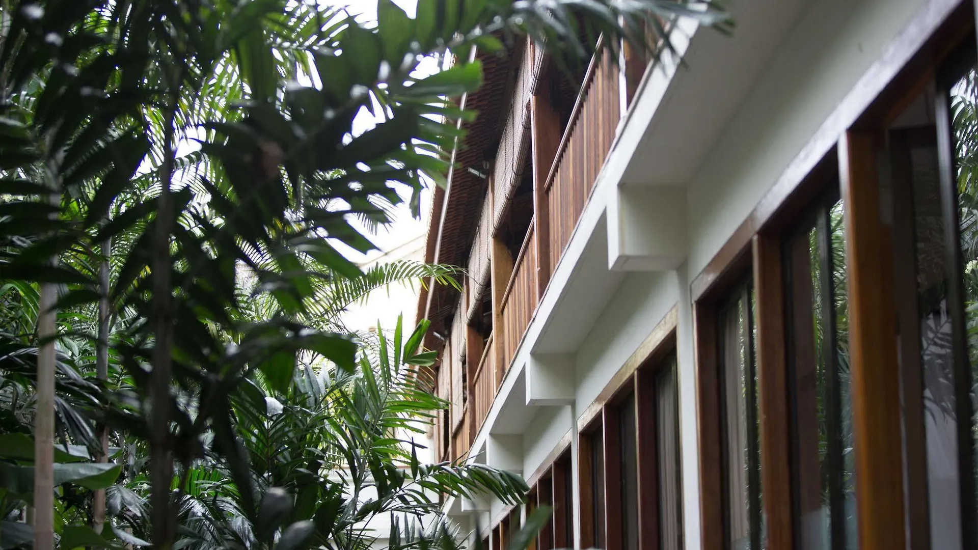 Hotel Muntri Grove Georgetown